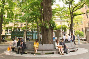 Benches surround the giant ginkgo on the Mita Campus Quad