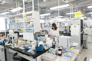(image 3) The Biolab where Metabolome analysis and other biotechnology related experiments are conducted