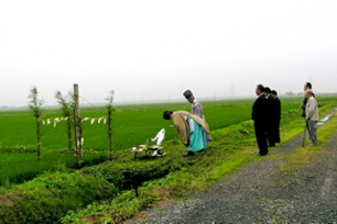 The Saiden Rice Festival in Niiaodo