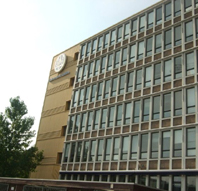 Faculty of social and behavioral science of Leiden University