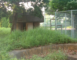 弥生式竪穴住居址（手前の窪地，奥のコンクリートの構造物は戦時中の地下壕の通気口跡）