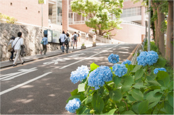 理工学部